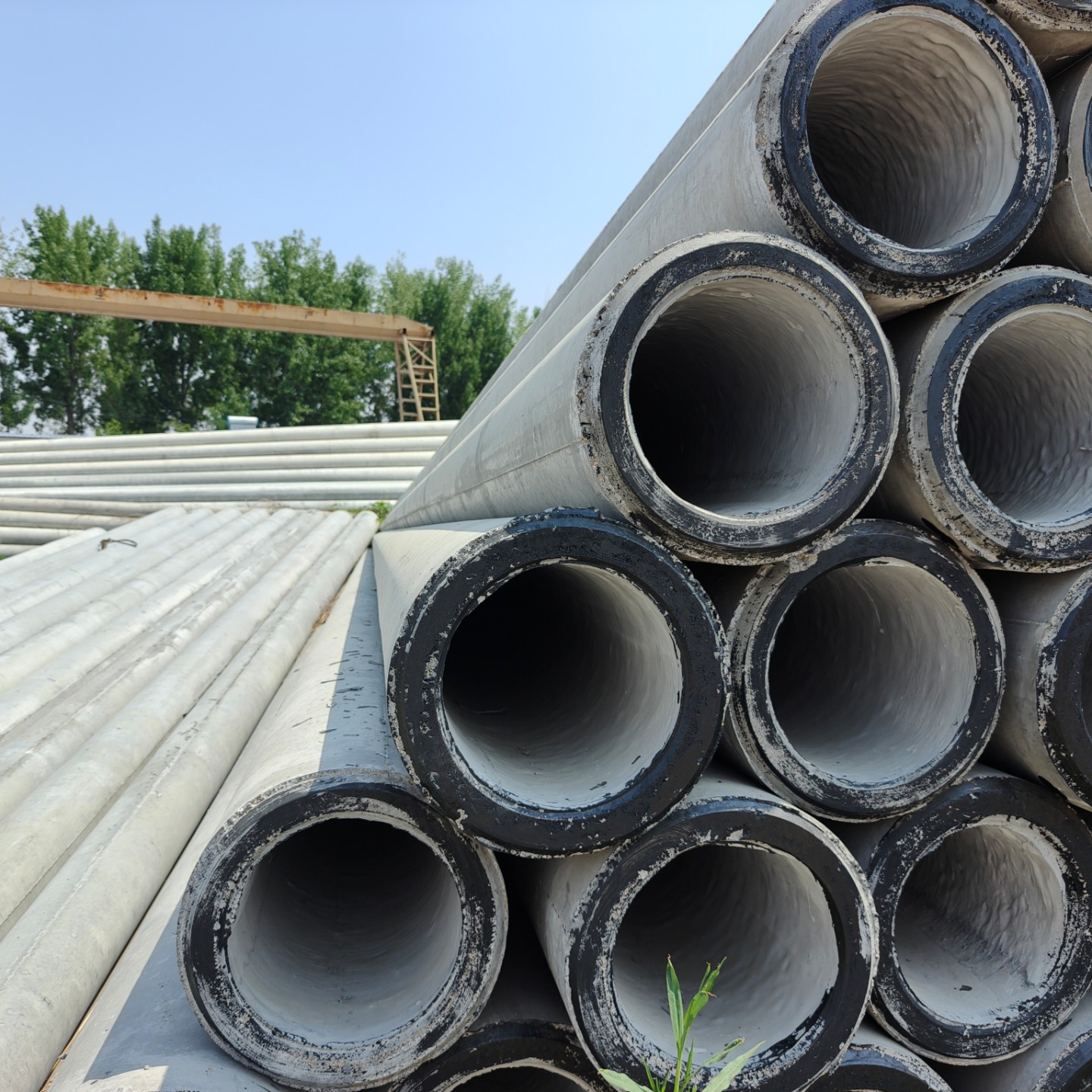 沧州10米预应力水泥电杆