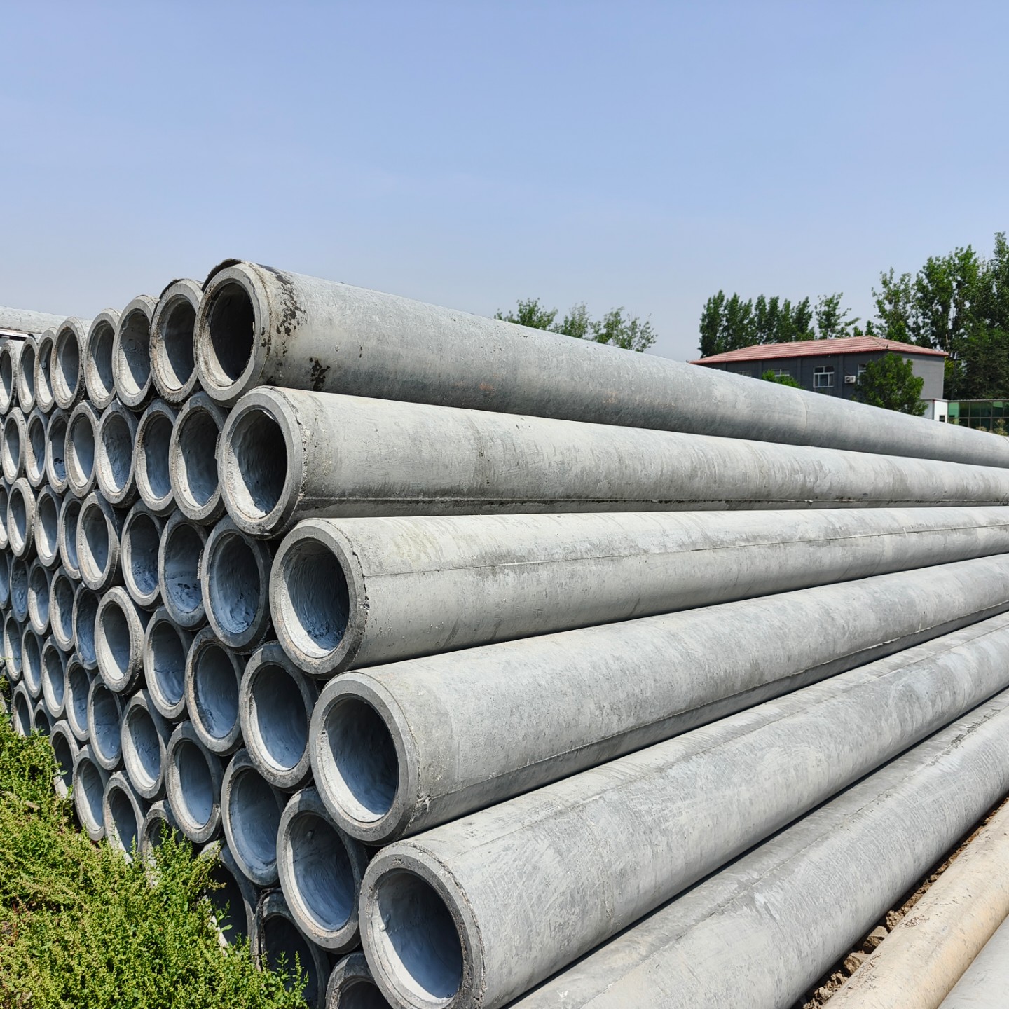 沧州10米钢筋混凝土电杆